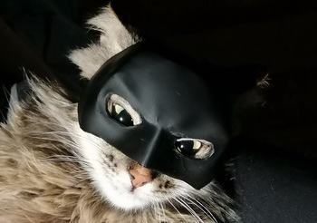 Шлем Бэтмэна(материал: PLA)