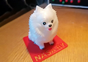 Шпиц(материал: PETG)